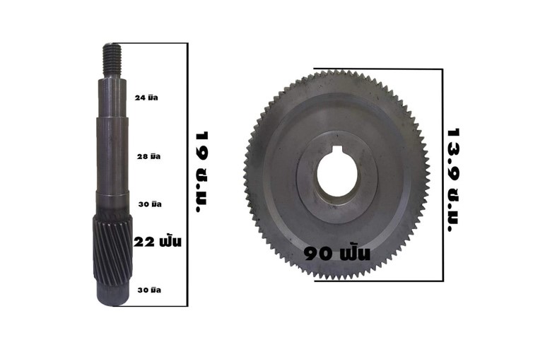 เฟืองปั๊มน้ำ